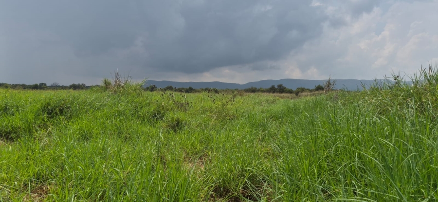 0 Bedroom Property for Sale in Koster North West